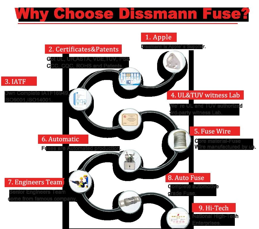 Dissmann fuse Dissmann fuse